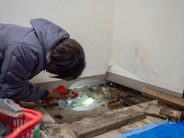 Best Mold-Related Health Consultation  in , GA