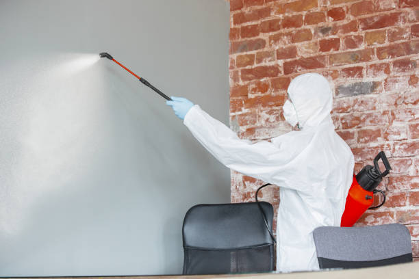 Best Mold Documentation for Insurance Claims  in , GA