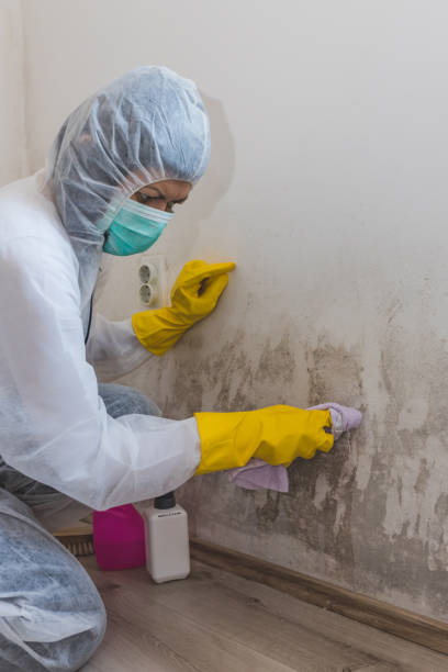 Best Water Damage & Mold Remediation  in , GA