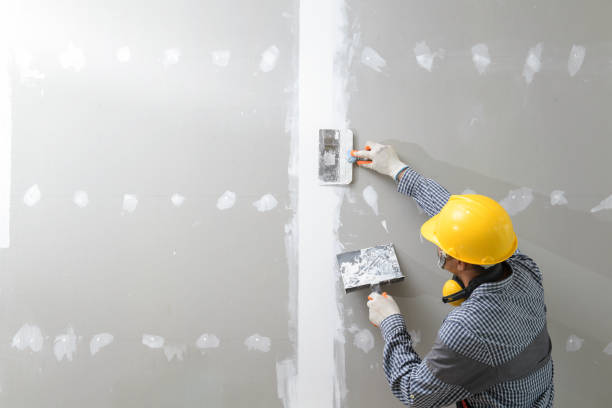 Best Mold Odor Removal Services  in , GA