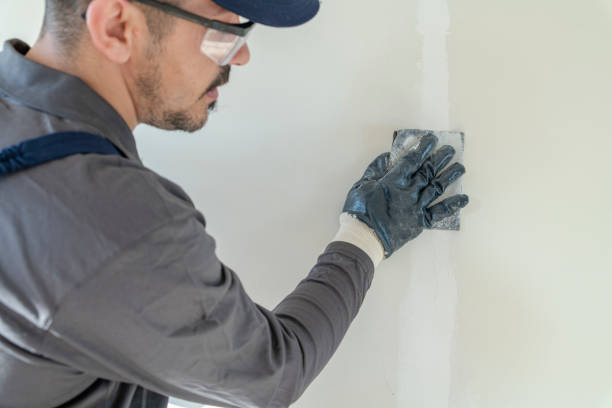 Best Mold Damage Restoration  in , GA