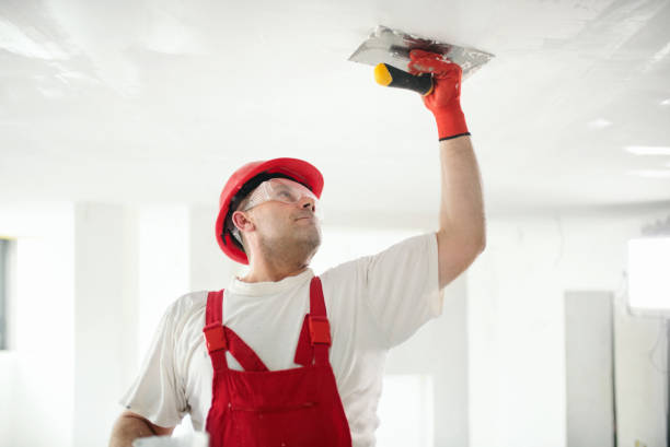 Best Emergency Mold Remediation  in , GA