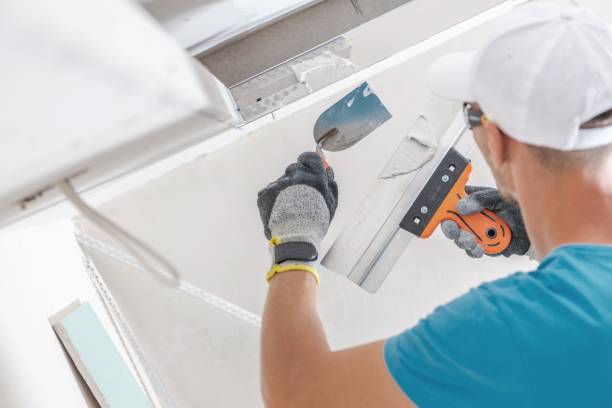 Best Airborne Mold Testing  in , GA